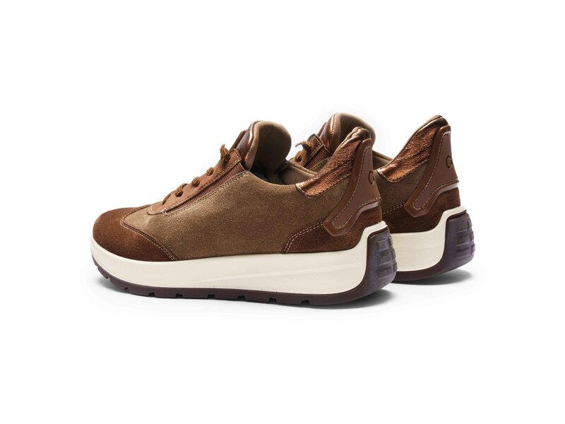 Ara - New York - Braun 