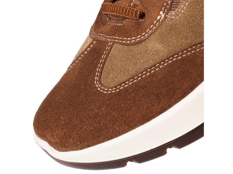 Ara - New York - Braun 