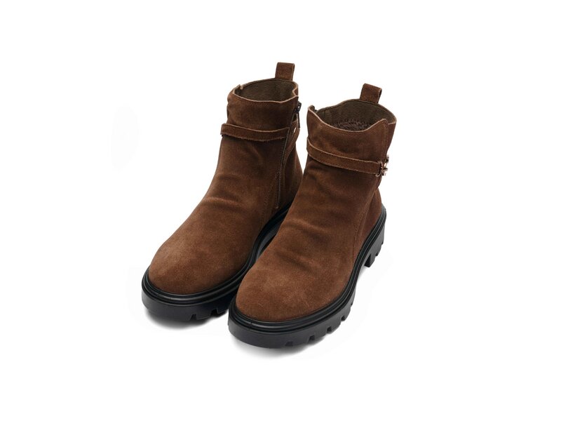 Ara - Manchester - Braun 