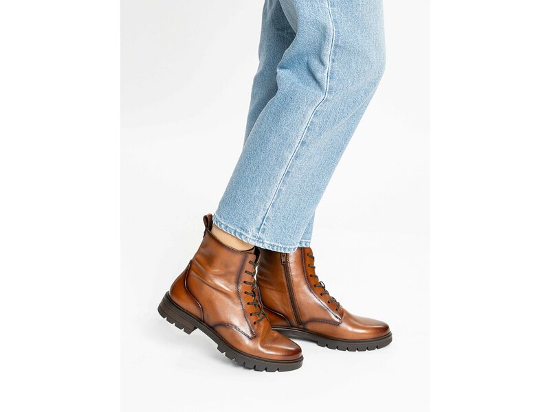 Ara - Cambridge - Braun 