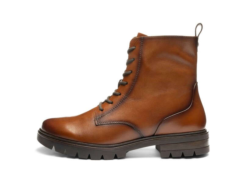 Ara - Cambridge - Braun 