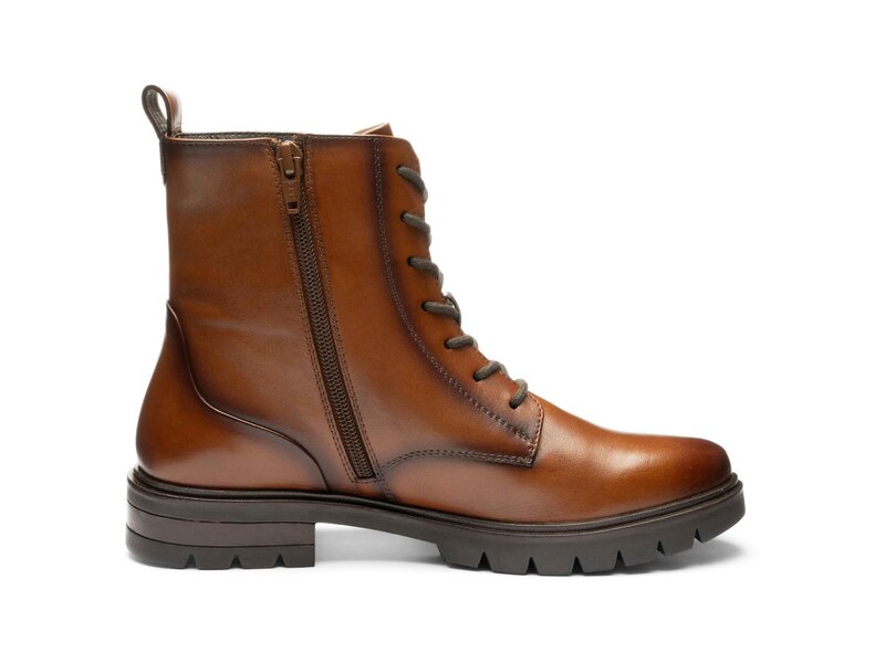 Ara - Cambridge - Braun 