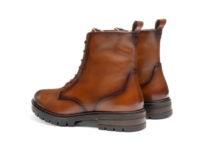 Ara - Cambridge - Braun 