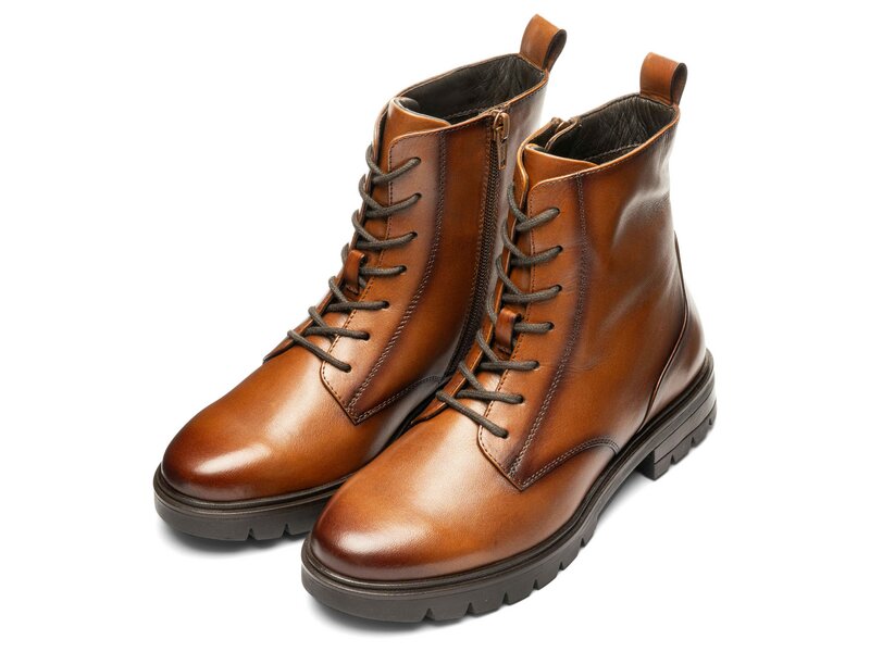 Ara - Cambridge - Braun 