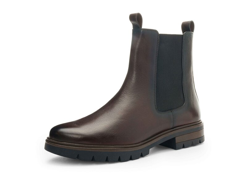 Ara - Cambridge - Braun 