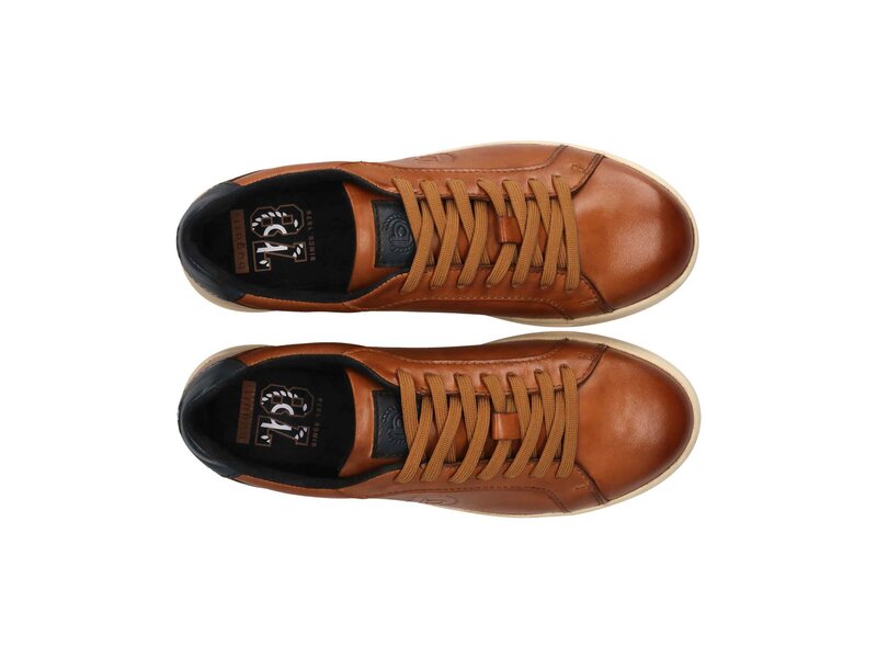 Bugatti - Powder - Braun 