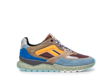 Floris van Bommel - De Treener 01.22 - Mehrfarbig