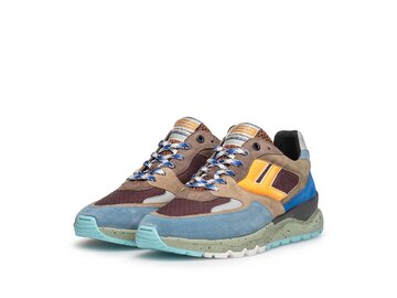 Floris van Bommel - De Treener 01.22 - Mehrfarbig