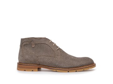 Floris van Bommel - De Braver 01.01 - Braun