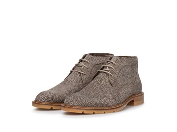 Floris van Bommel - De Braver 01.01 - Braun