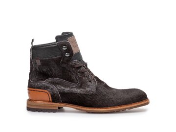 Floris van Bommel - Crepi 05.18 - Braun