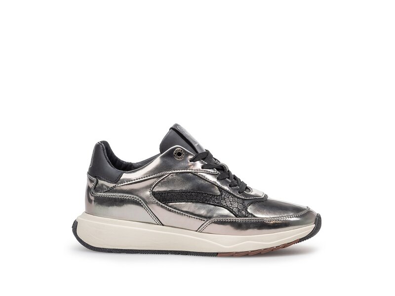 Floris van Bommel - Suvi 02.08 - Grau 