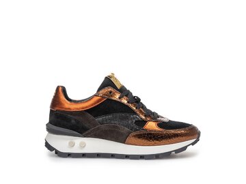 =CONCATENATE("Floris van Bommel - ",D205," - ",X205)