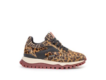 Floris van Bommel - Grommi 04.00 - Braun