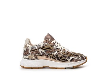 Floris van Bommel - Daysi 07.00 - Braun