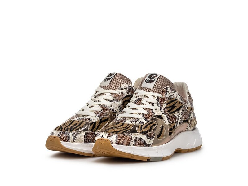 Floris van Bommel - Daysi 07.00 - Braun 