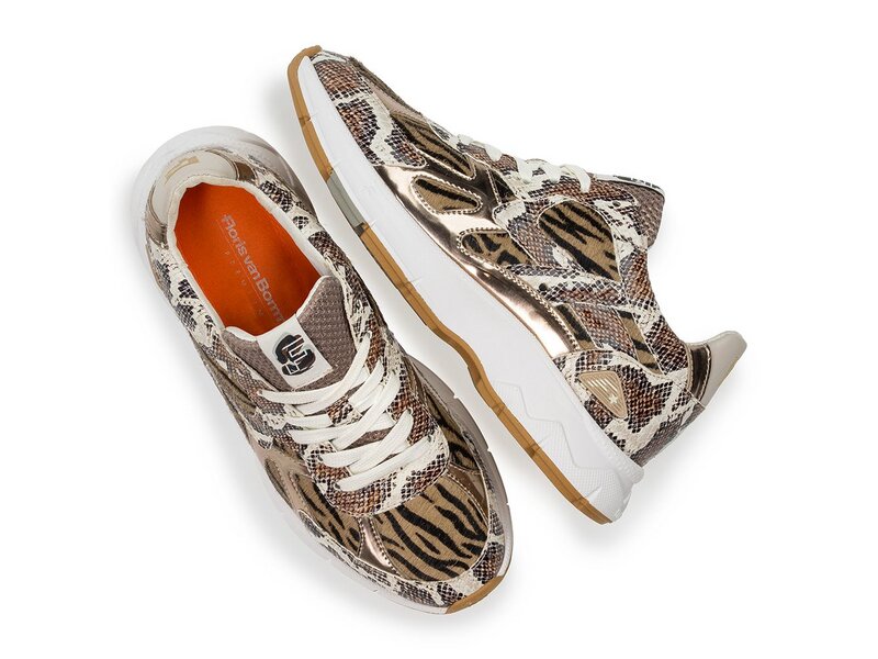 Floris van Bommel - Daysi 07.00 - Braun 