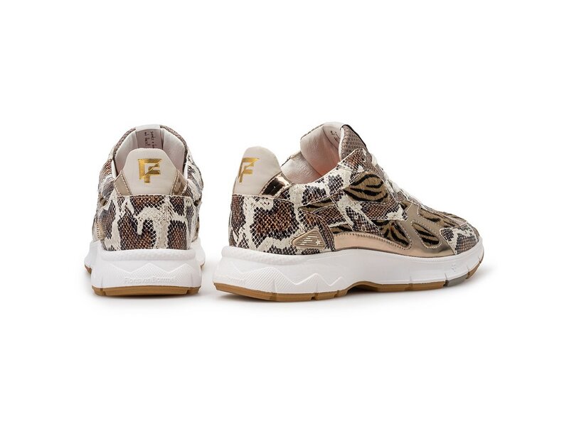 Floris van Bommel - Daysi 07.00 - Braun 