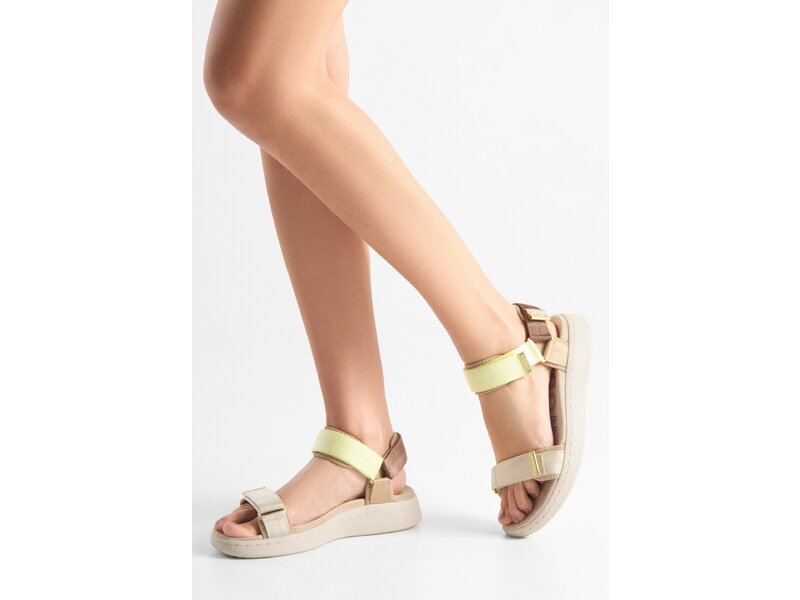 Woden - Line - Beige 