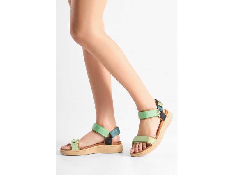 Woden - Line - Gr&uuml;n 