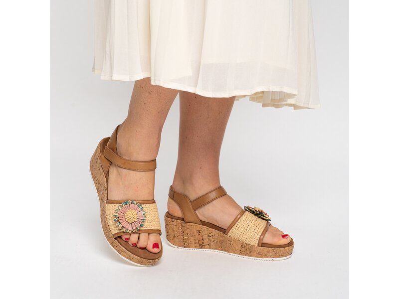 Ara - RIMINI-S - Braun 