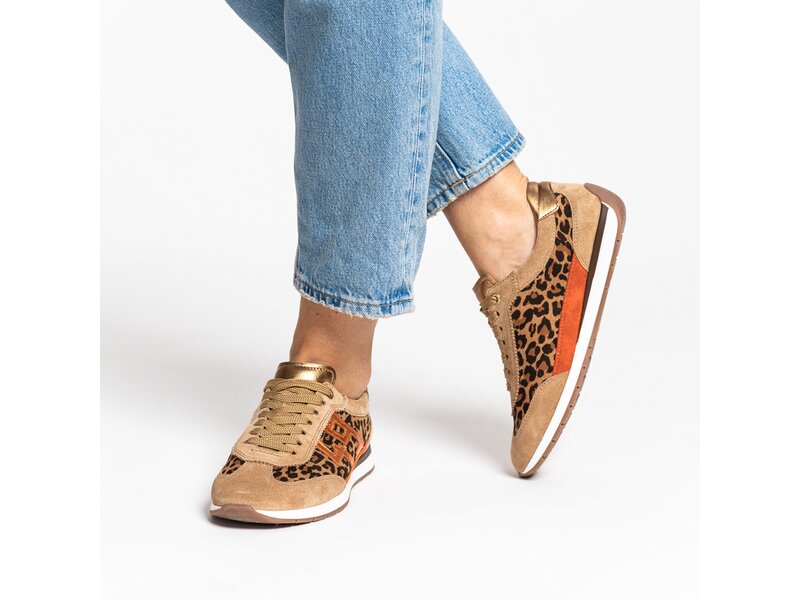 Ara - PORTOFINO - Braun 