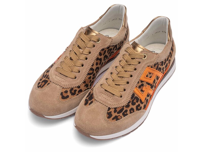 Ara - PORTOFINO - Braun 