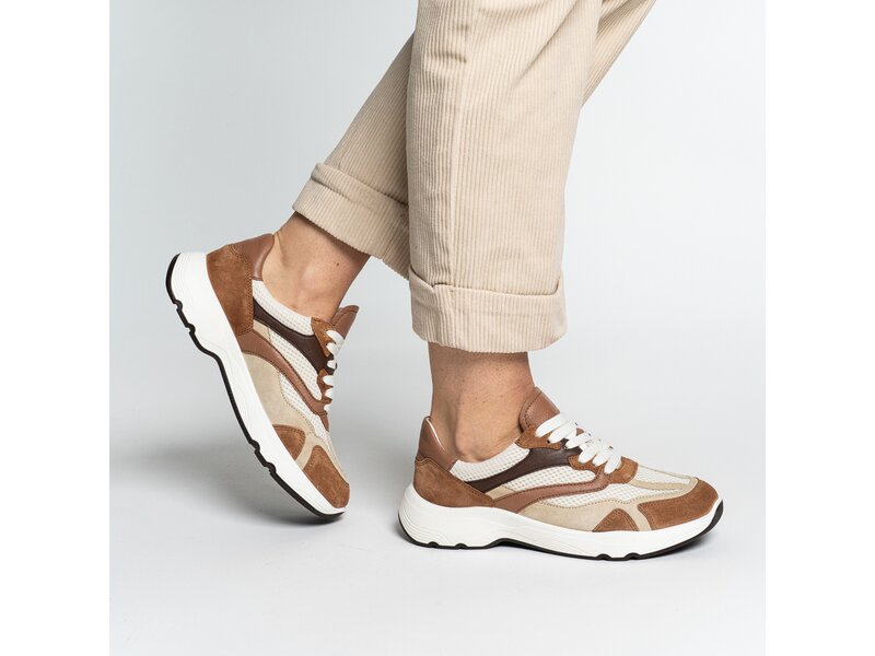 Ara - BOSTON - Braun 