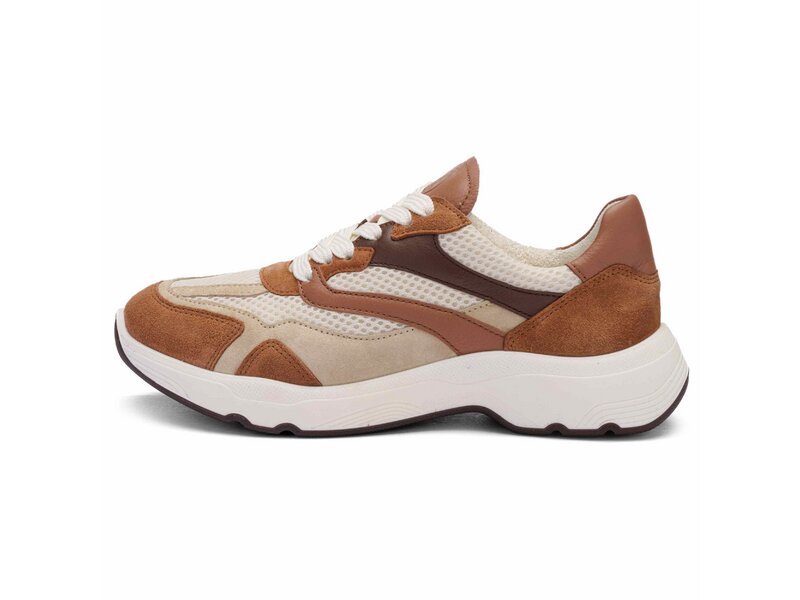 Ara - BOSTON - Braun 