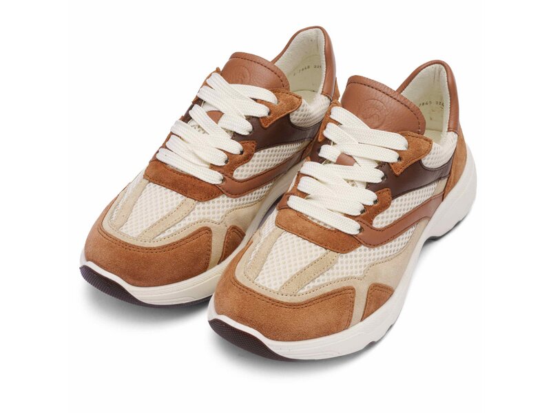 Ara - BOSTON - Braun 