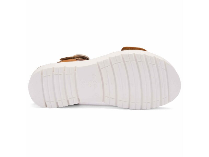 Ara - BILBAO-S - Braun 