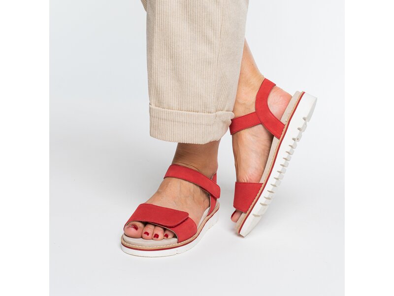 Ara - KENT-SPORT-S - Rot 