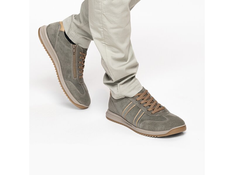 Ara - TINO - Gr&uuml;n 