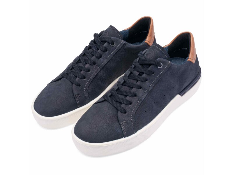 Ara - RICARDO - Blau 