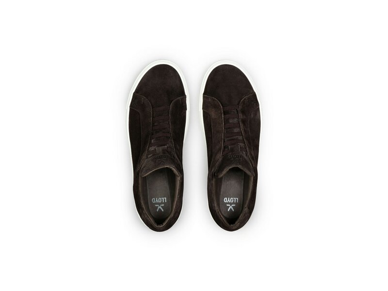 Lloyd - METRO - Braun 