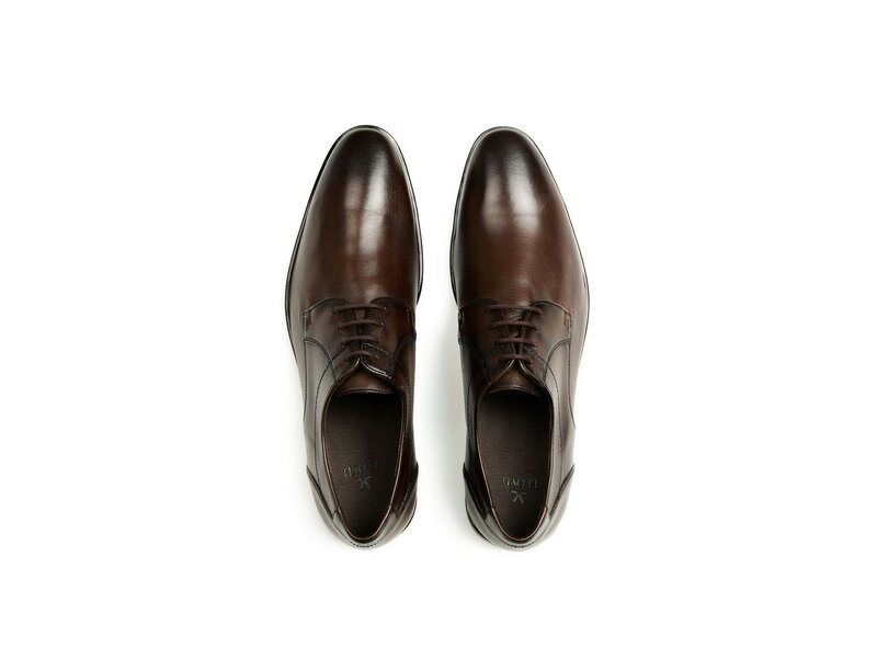 Lloyd - CORE 111 - Braun 