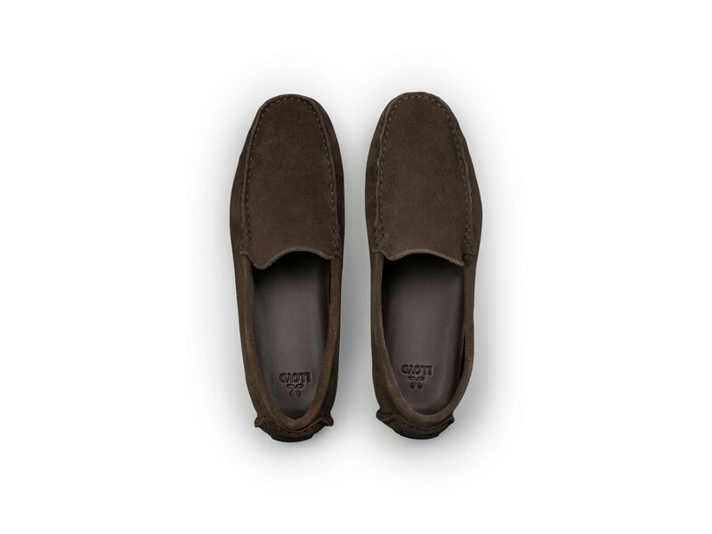 Lloyd - ROVER - Braun 