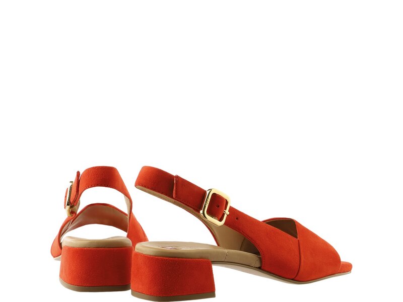 H&ouml;gl - MIA - Rot 