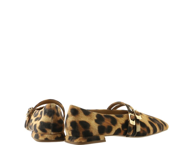 H&ouml;gl - MAY - Braun 