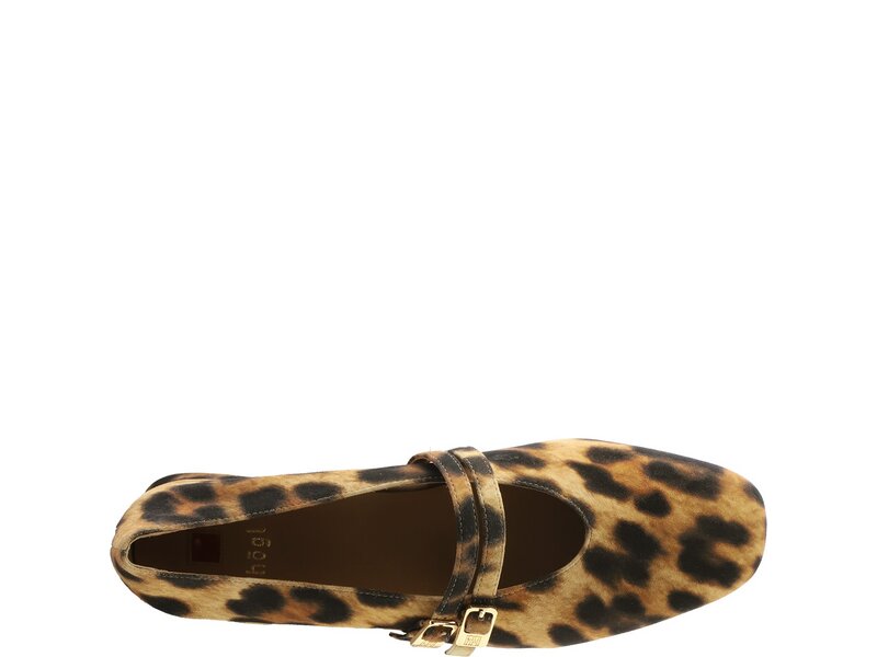 H&ouml;gl - MAY - Braun 