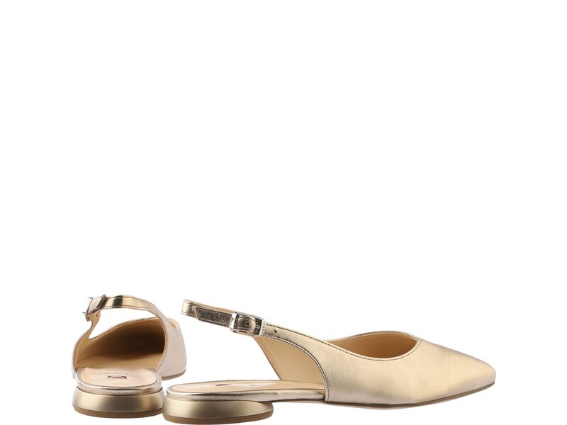 H&ouml;gl - MONA - Gold 