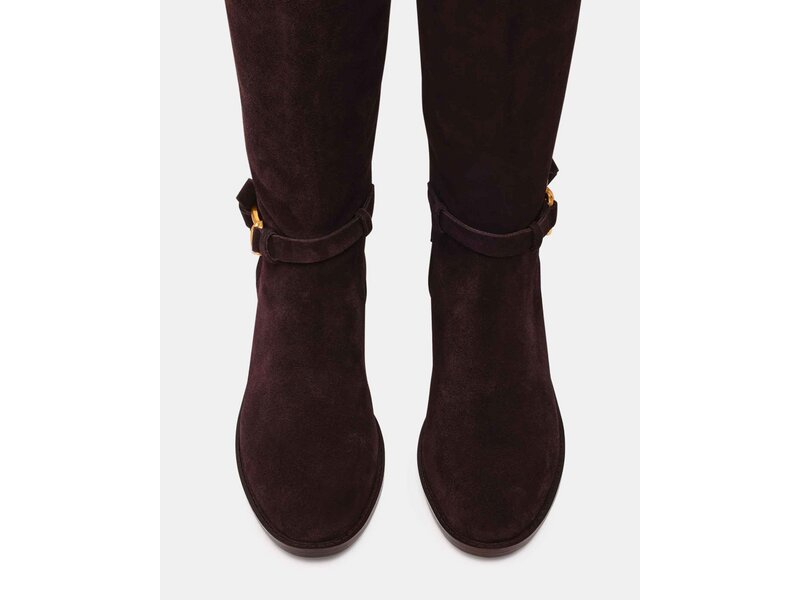 Steve Madden - Stiefel - Braun 