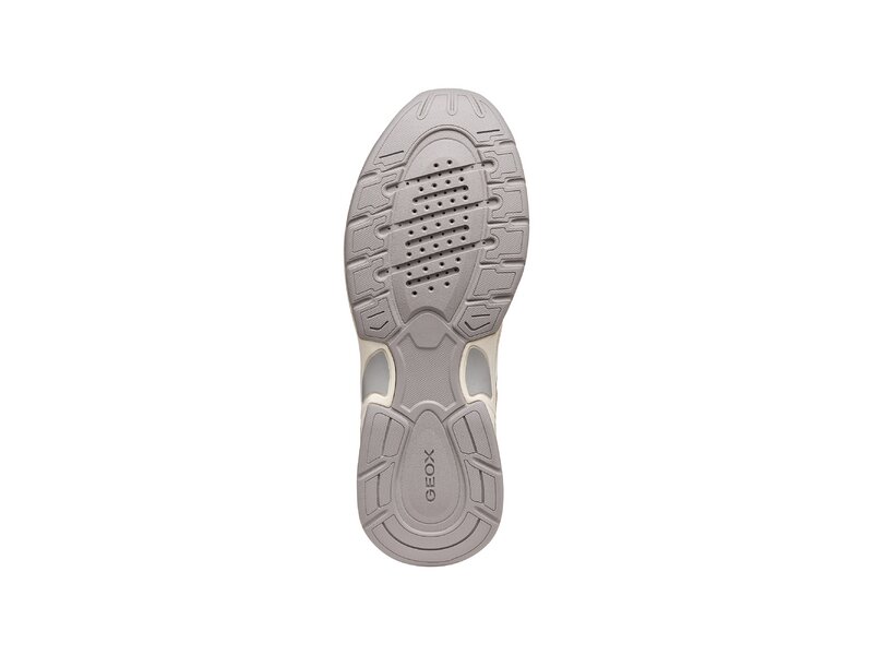 Geox - D ZARVIA - Beige 