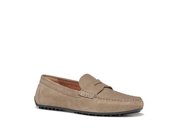 Geox - U ISTRIA - Grau