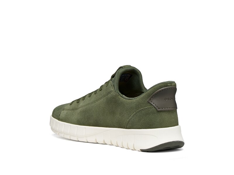 Geox - U FLEXTRIDE PLUS - Gr&uuml;n 