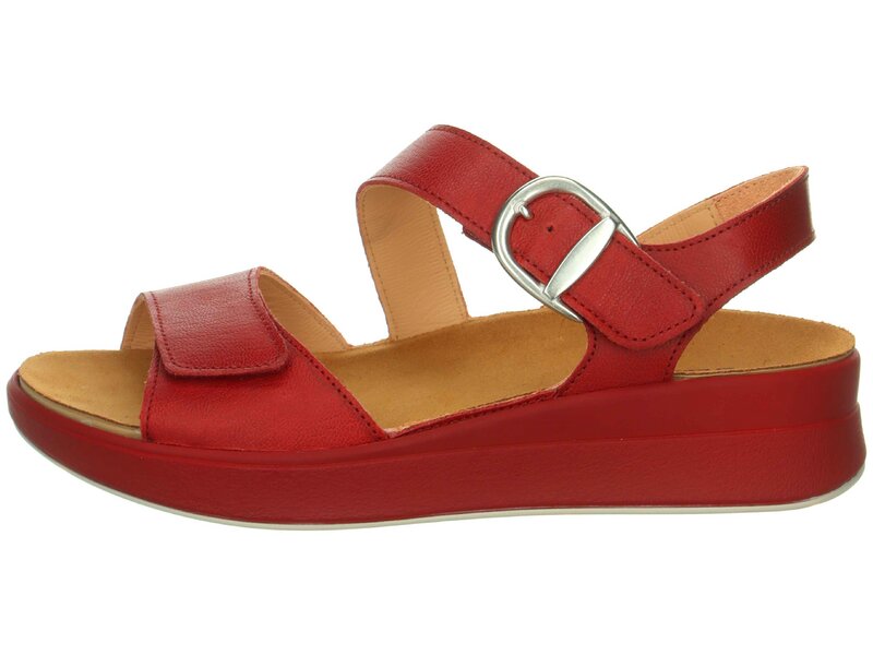 Think - MEGGIE - Rot 