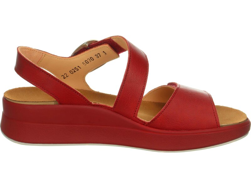 Think - MEGGIE - Rot 