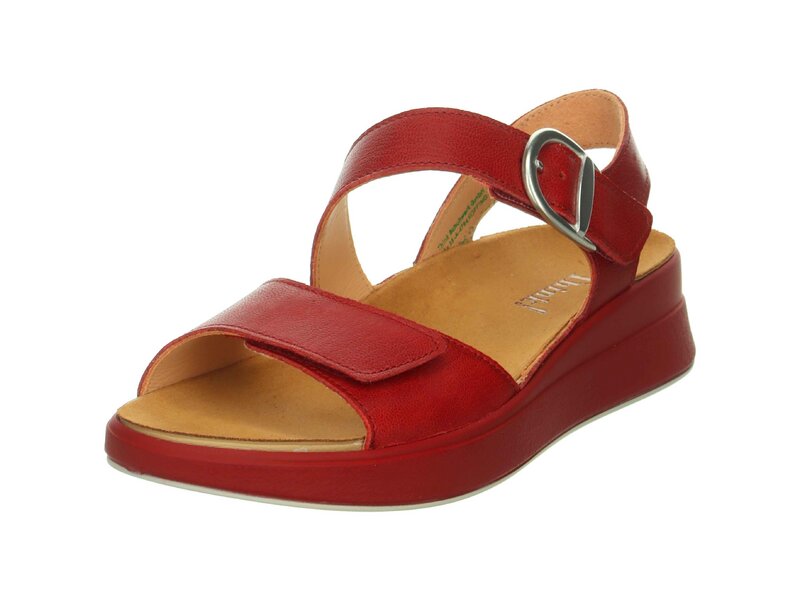 Think - MEGGIE - Rot 