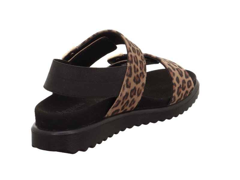 Legero - MOVE - Braun 