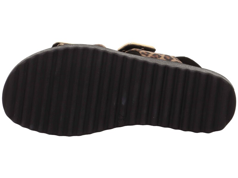 Legero - MOVE - Braun 